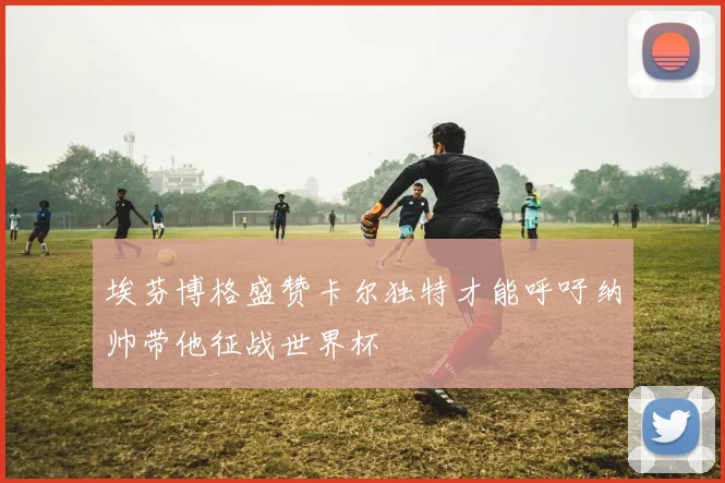 埃芬博格盛赞卡尔独特才能呼吁纳帅带他征战世界杯