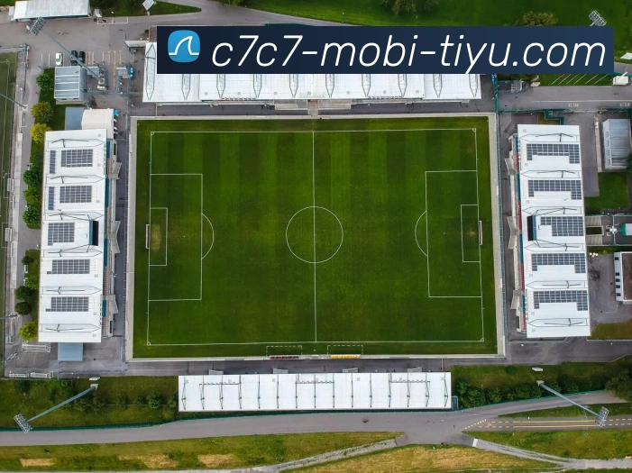 C7C7娱乐平台生态图