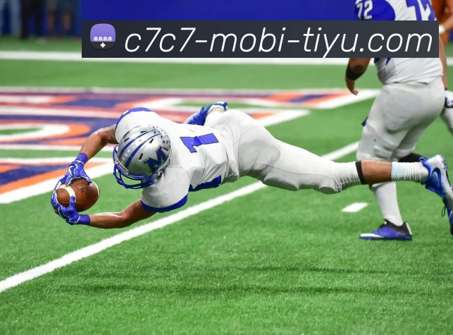 C7C7娱乐APP 封面图