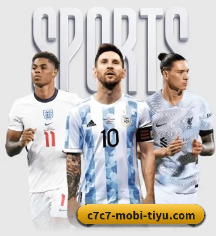 五大服务分区,信息按项目分类 | c7c7app